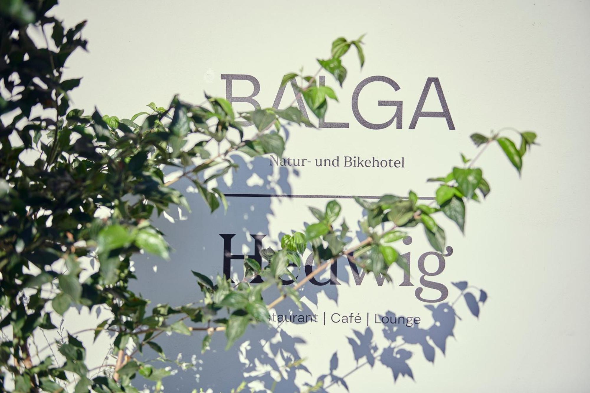Hotel Balga Natur- Und Bikehotel Balgach 외부 사진