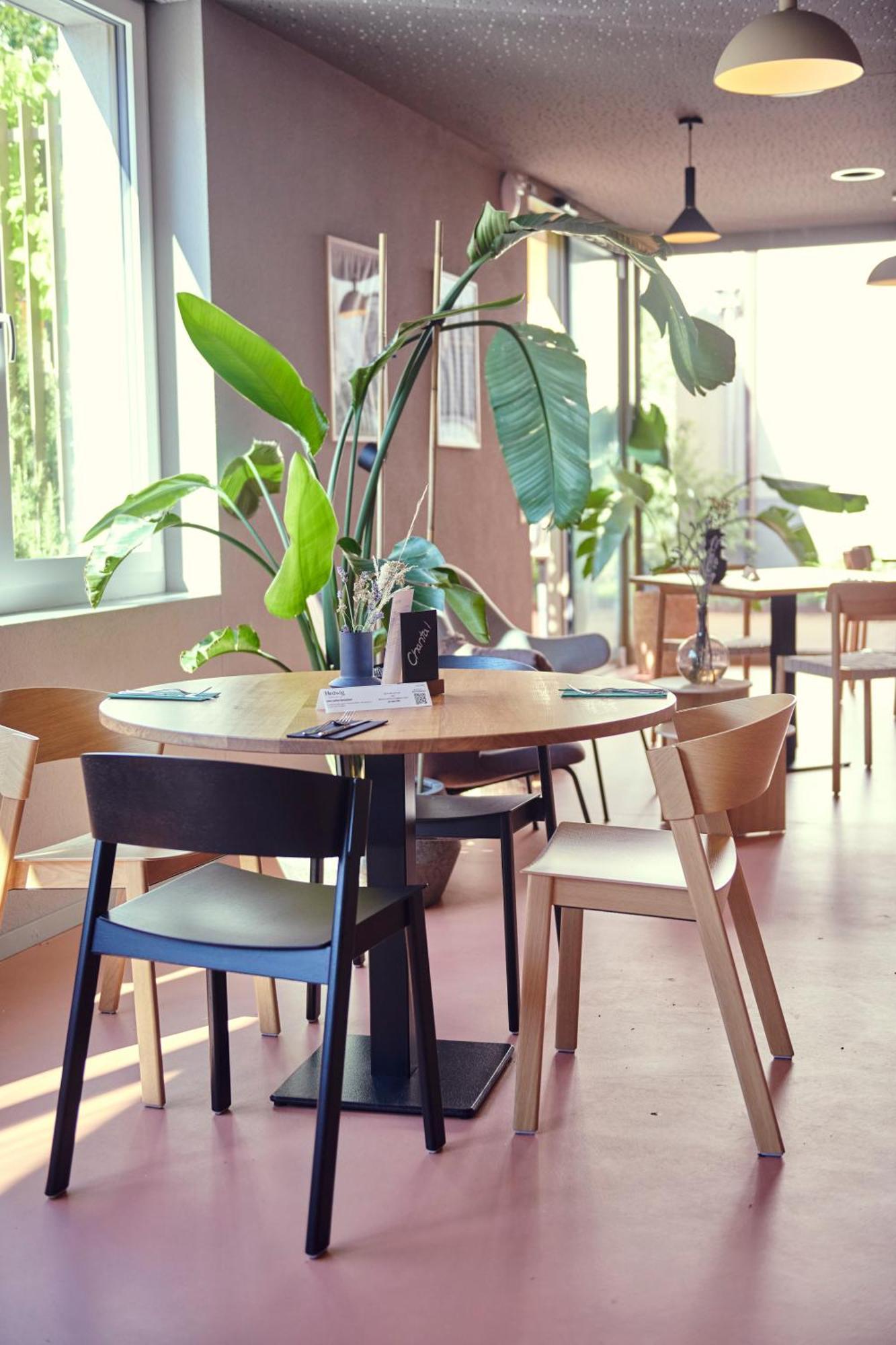 Hotel Balga Natur- Und Bikehotel Balgach 외부 사진